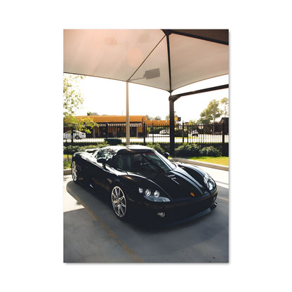 Poster Ccxr 77829
