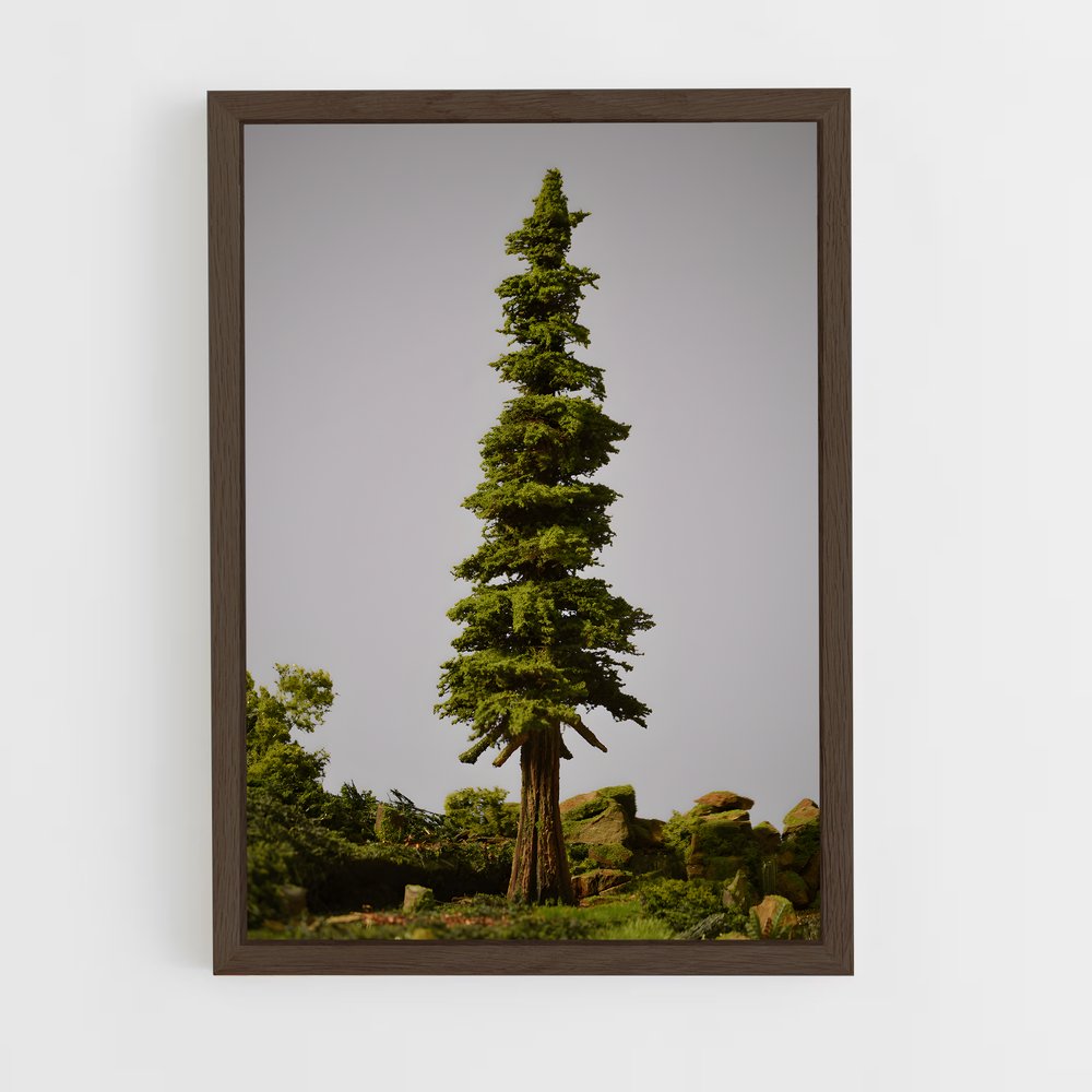 ap-cedar-1 cadre Bois foncé