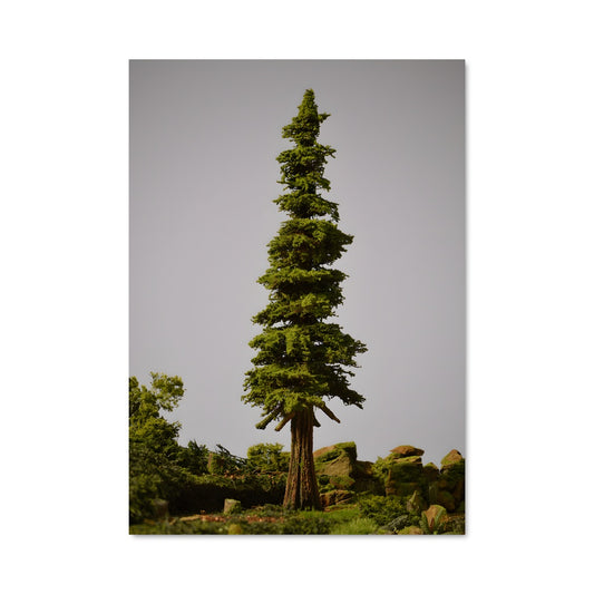 Poster Résilience Cédre