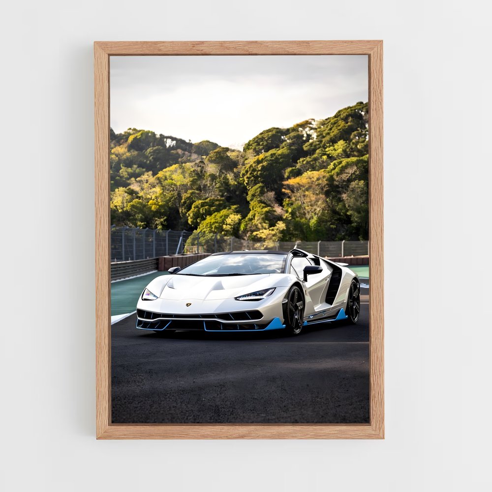 ap-centenario roadster-1 cadre Bois clair