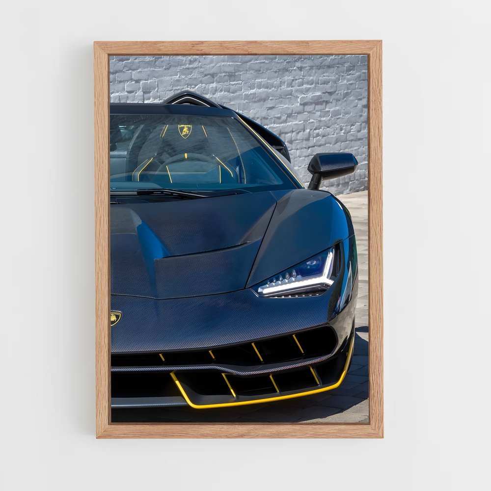 ap-centenario roadster-3 cadre Bois clair