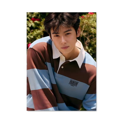 Poster Cha eun-woo 47818