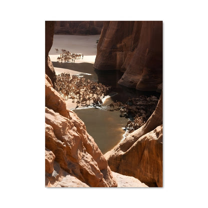 Poster Wadi Wonderland