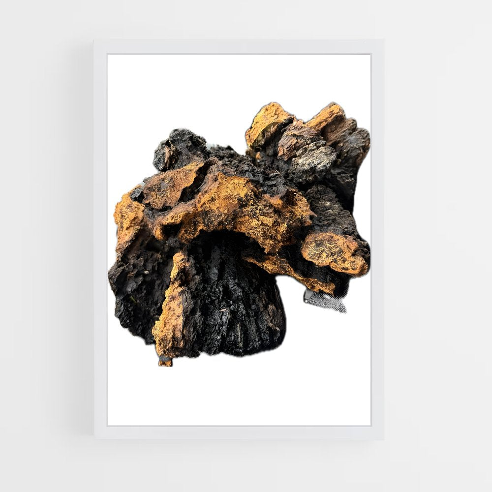 ap-chaga-1 cadre Blanc