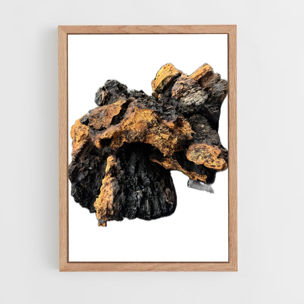 ap-chaga-1 cadre Bois clair