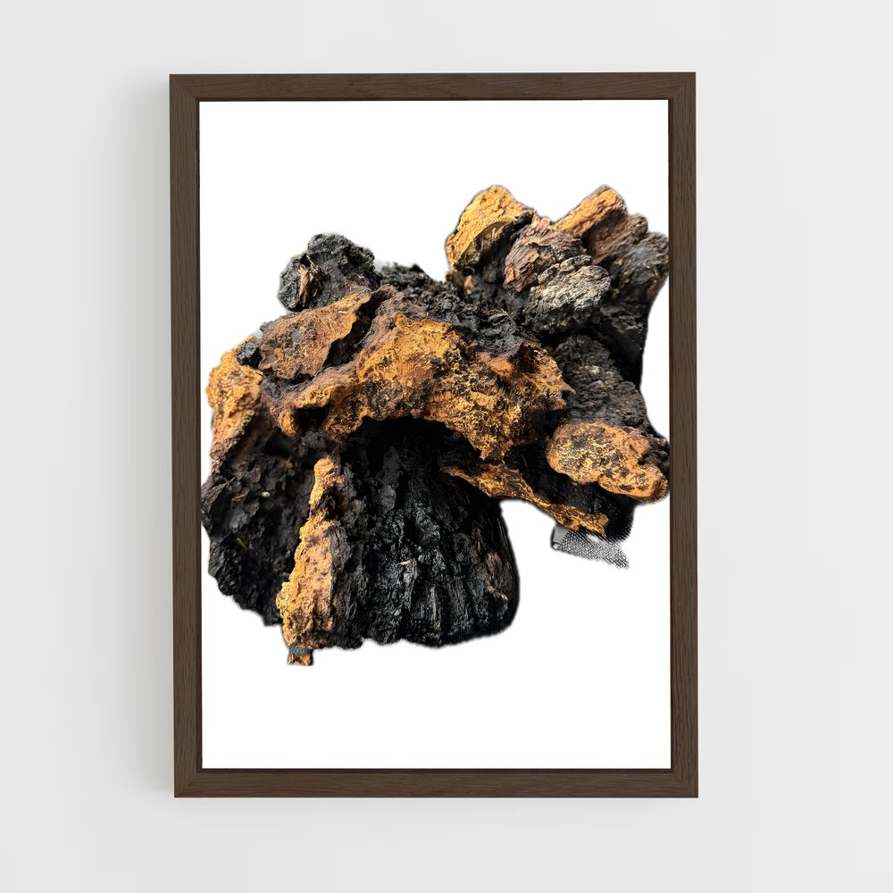 ap-chaga-1 cadre Bois foncé