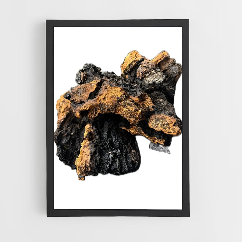 ap-chaga-1 cadre Noir