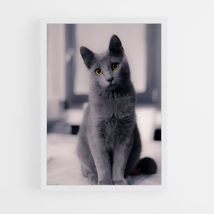 ap-chartreux-1 cadre Blanc