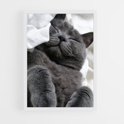 ap-chartreux-2 cadre Blanc