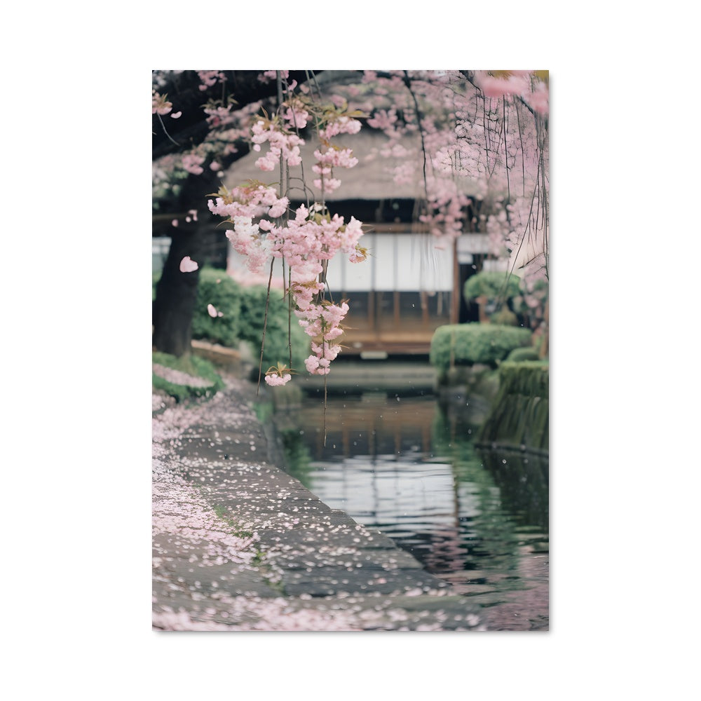 Poster Éveil Sakura