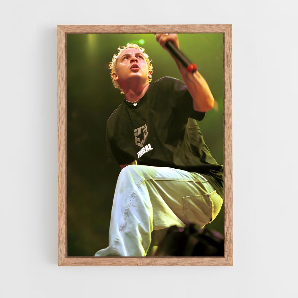 ap-chester bennington-1 cadre Bois clair
