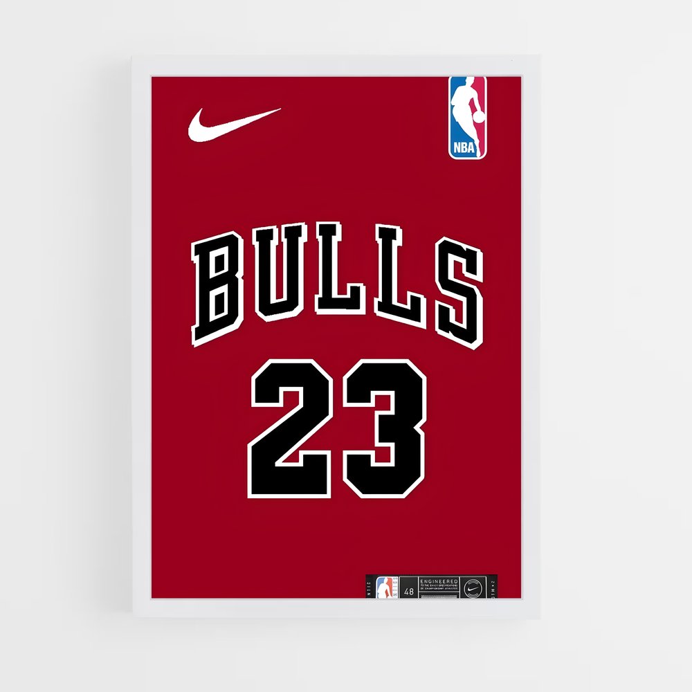 ap-chicago bulls-4 cadre Blanc