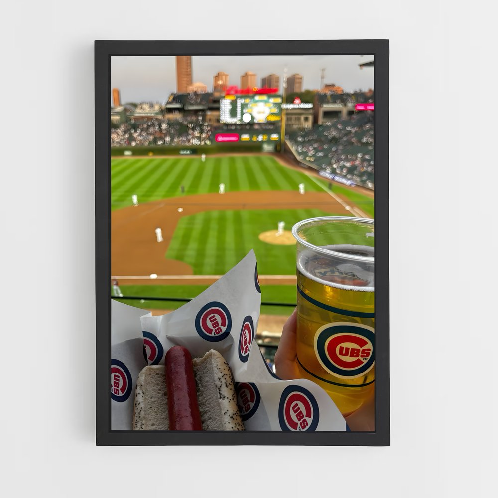 ap-chicago cubs-3 cadre Noir