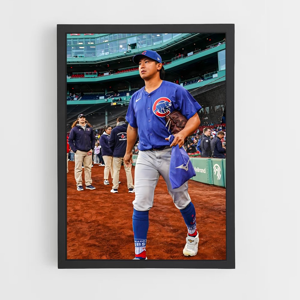 ap-chicago cubs-7 cadre Noir
