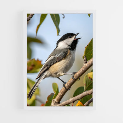 ap-chickadee-3 cadre Blanc