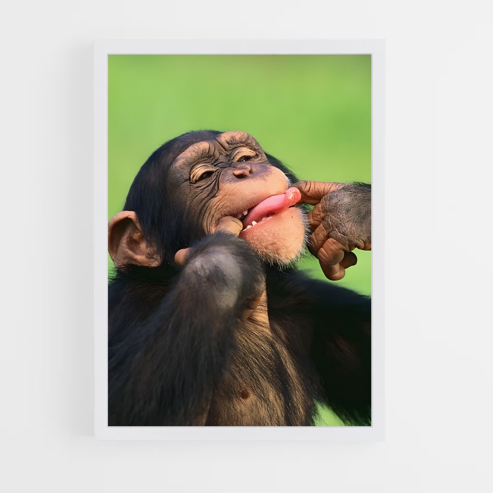 ap-chimpanzee-1 cadre Blanc