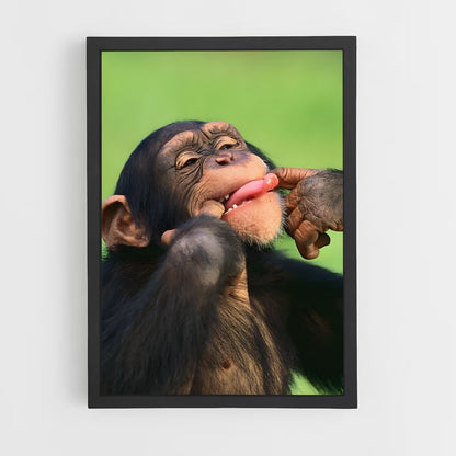 ap-chimpanzee-1 cadre Noir