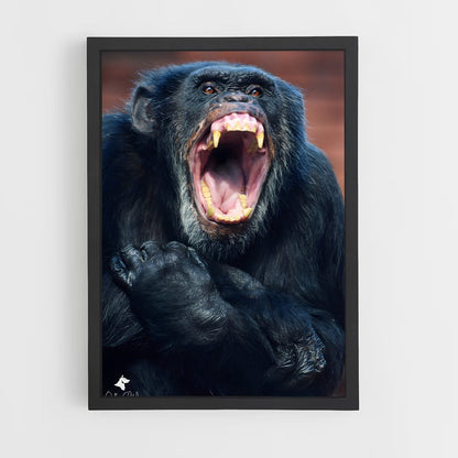 ap-chimpanzee-12 cadre Noir