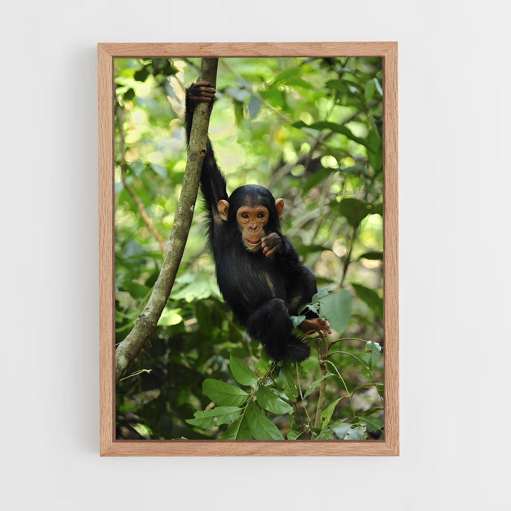 ap-chimpanzee-13 cadre Bois clair