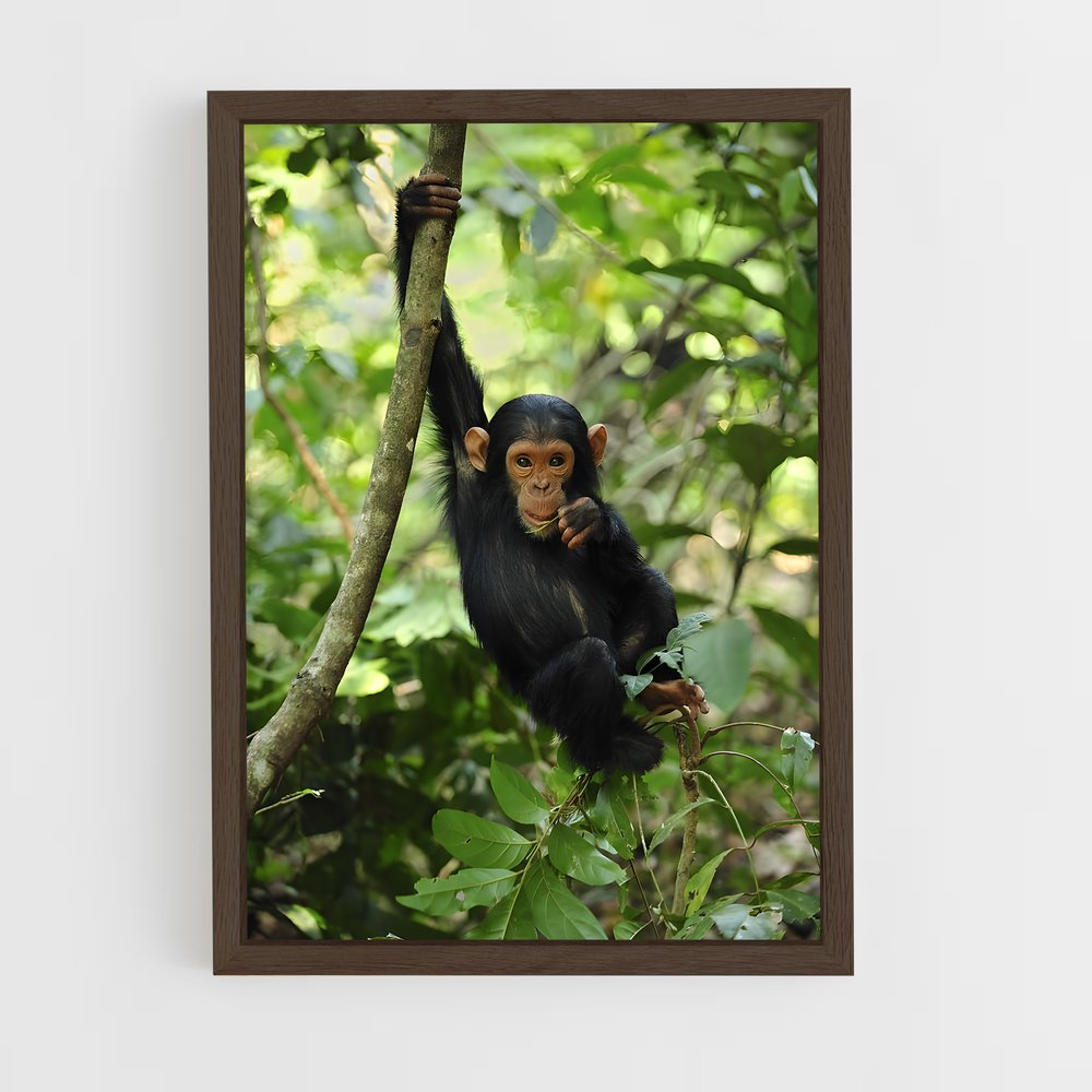 ap-chimpanzee-13 cadre Bois foncé