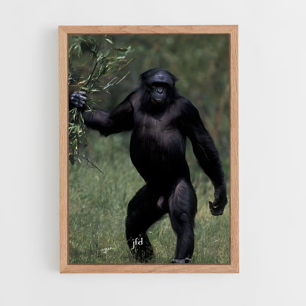 ap-chimpanzee-14 cadre Bois clair