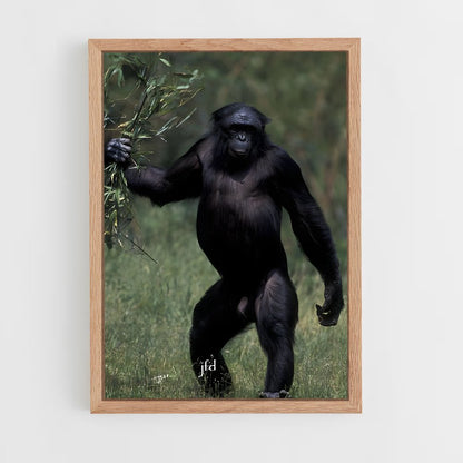 ap-chimpanzee-14 cadre Bois clair