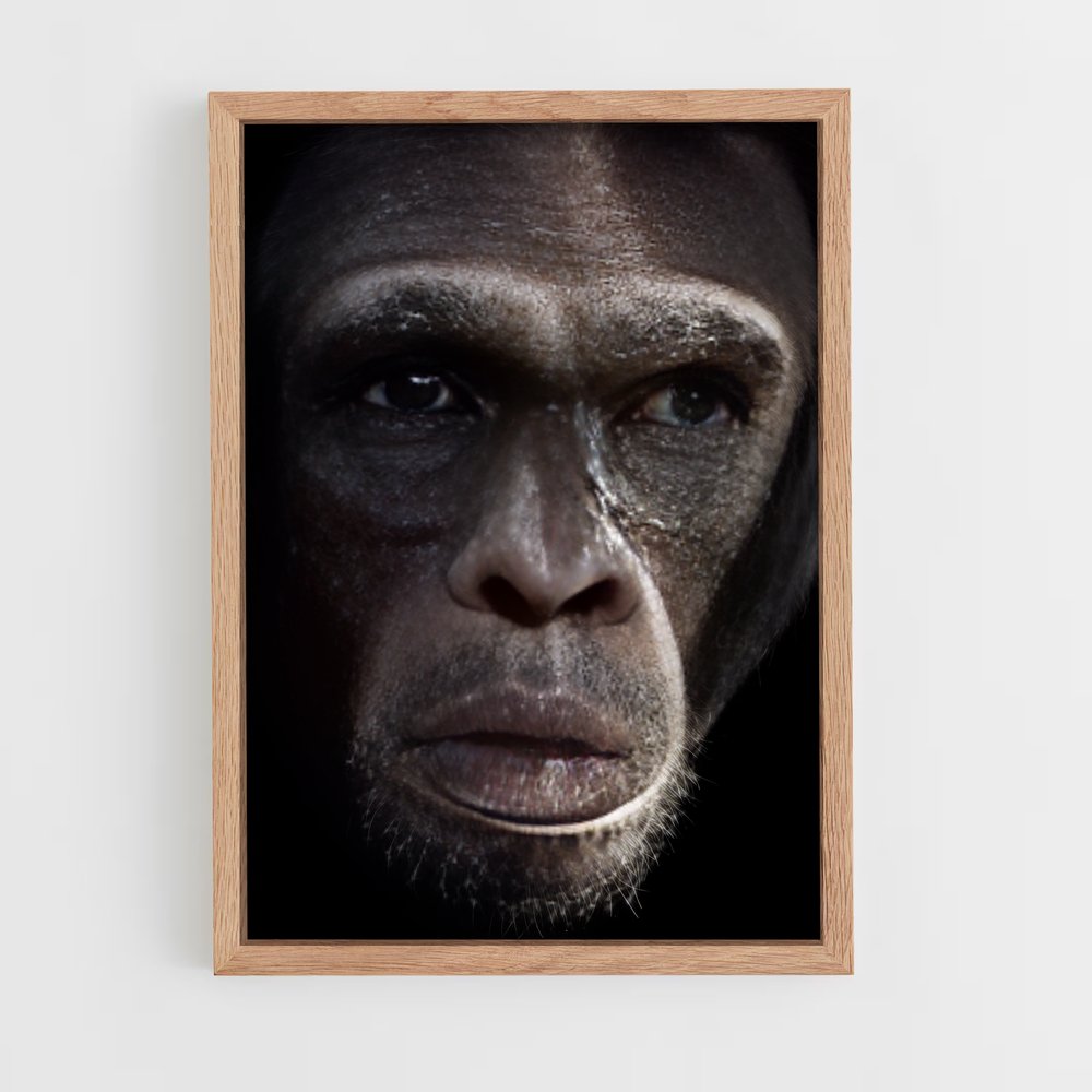 ap-chimpanzee-16 cadre Bois clair