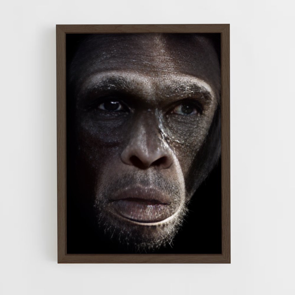 ap-chimpanzee-16 cadre Bois foncé