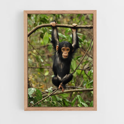 ap-chimpanzee-2 cadre Bois clair