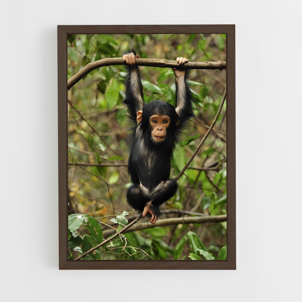 ap-chimpanzee-2 cadre Bois foncé