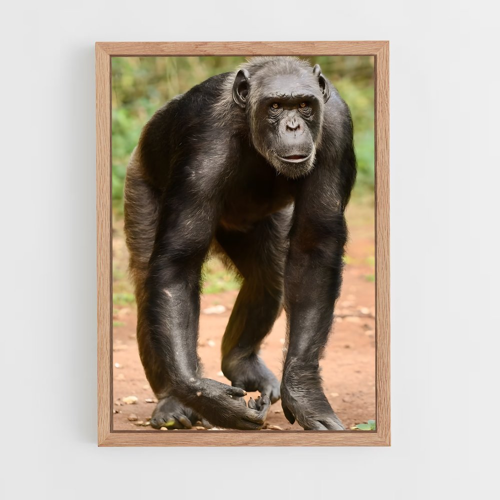 ap-chimpanzee-3 cadre Bois clair