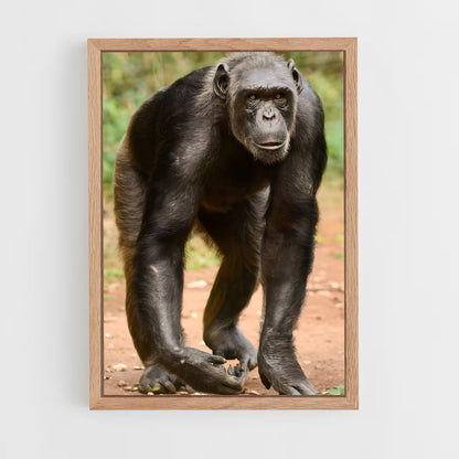 ap-chimpanzee-3 cadre Bois clair