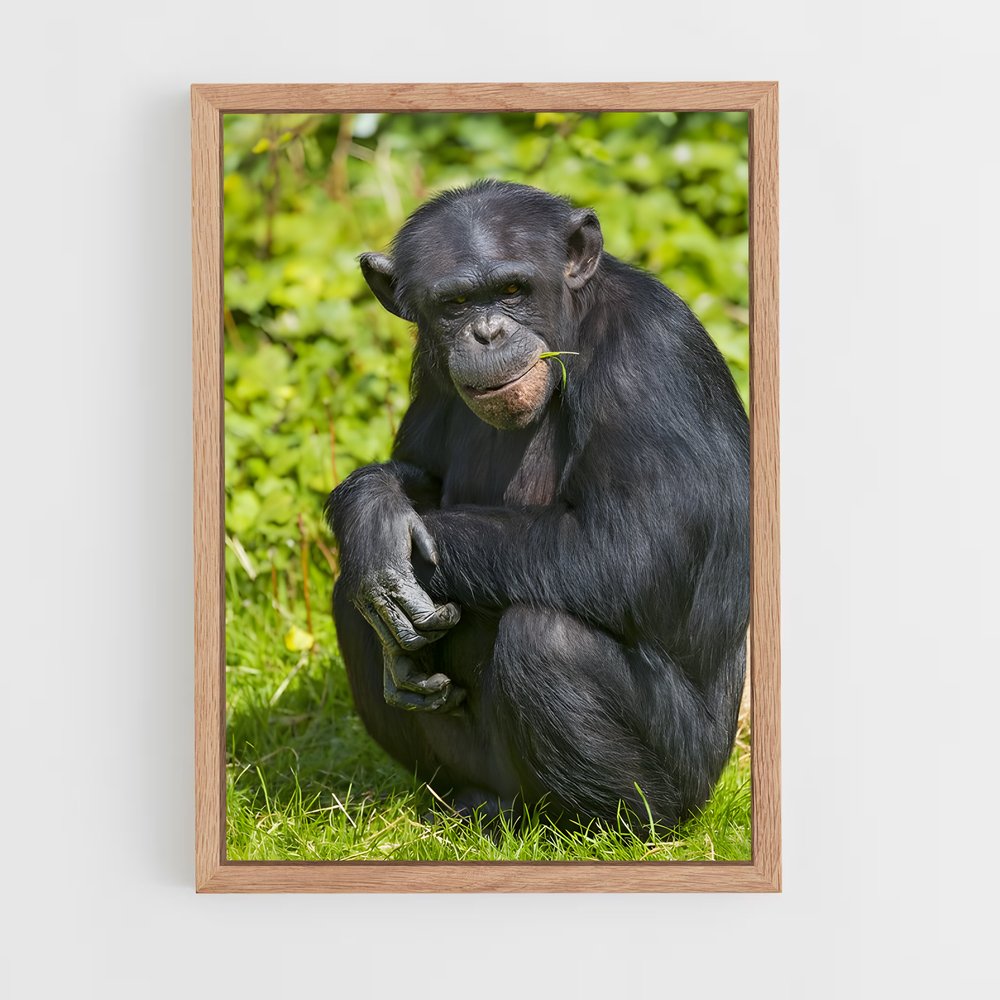 ap-chimpanzee-4 cadre Bois clair