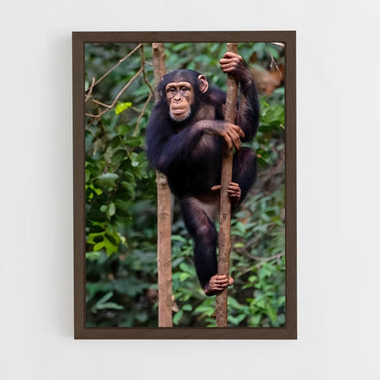 ap-chimpanzee-6 cadre Bois foncé
