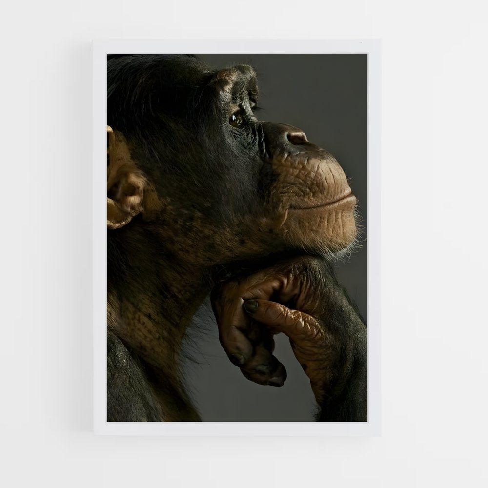 ap-chimpanzee-8 cadre Blanc