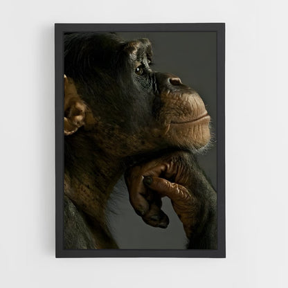 ap-chimpanzee-8 cadre Noir