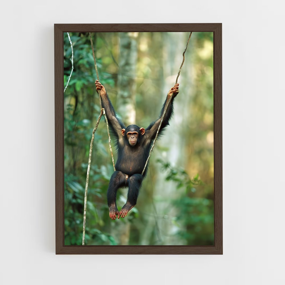 ap-chimpanzee-9 cadre Bois foncé