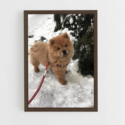 ap-chow chow-1 cadre Bois foncé