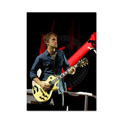 Poster Chris shiflett 55681