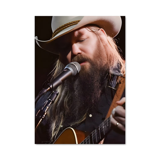 Poster The Southern Spirit