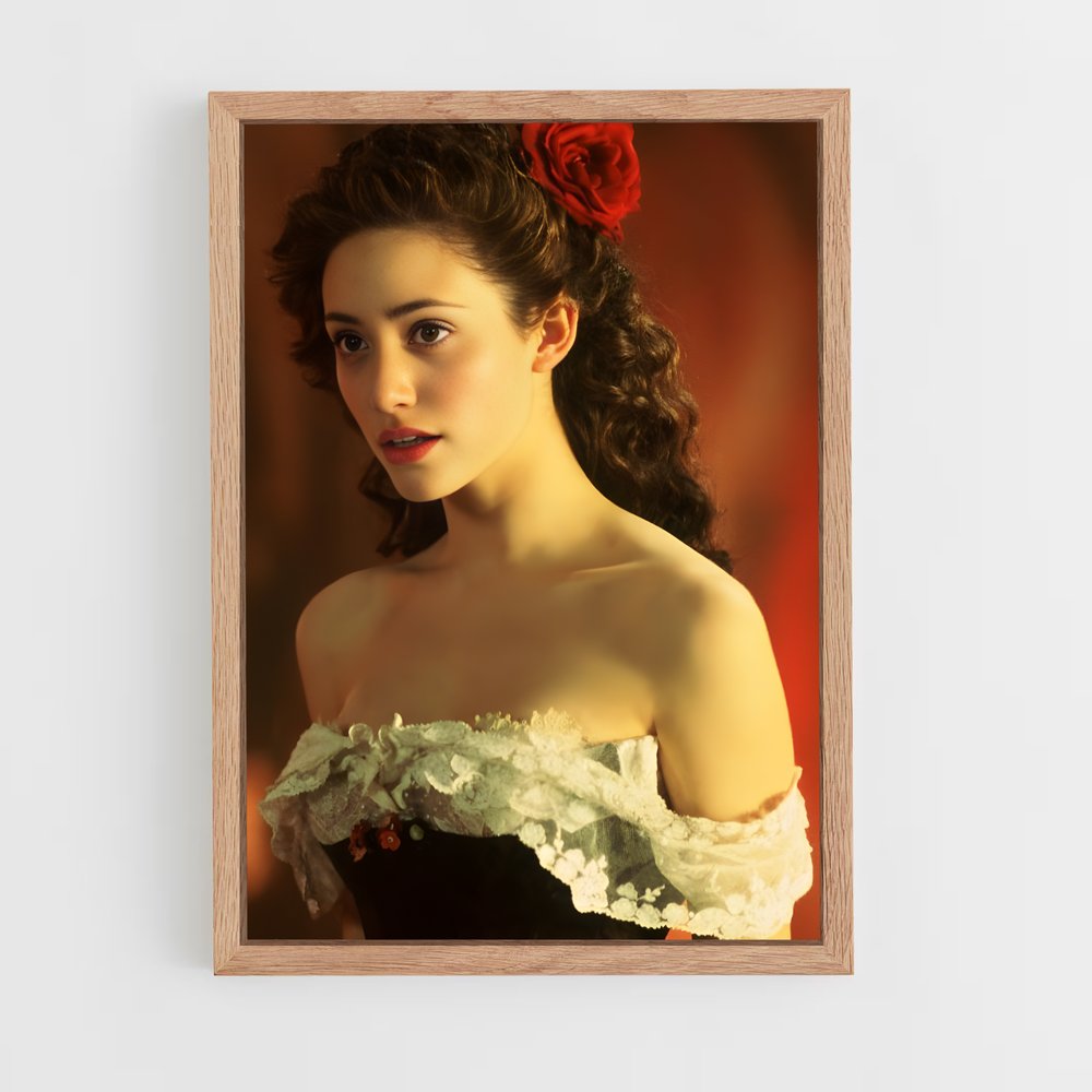 ap-christine daae-1 cadre Bois clair