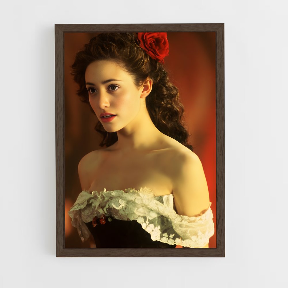 ap-christine daae-1 cadre Bois foncé
