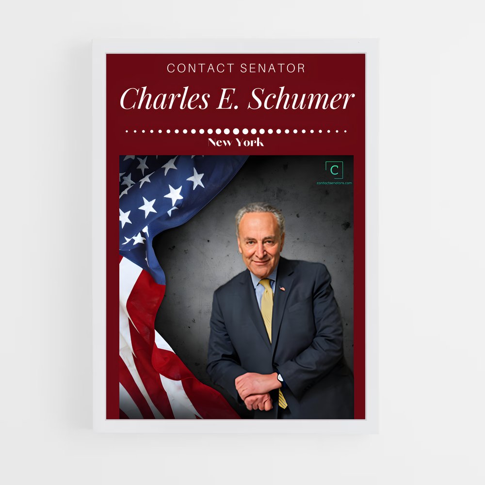 ap-chuck schumer-2 cadre Blanc