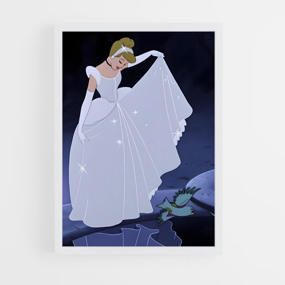 ap-cinderella-13 cadre Blanc