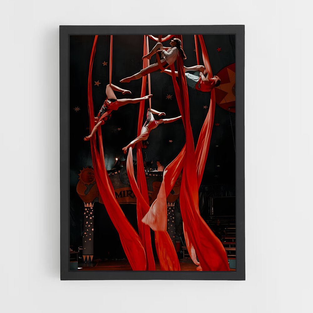 ap-cirque du soleil-6 cadre Noir