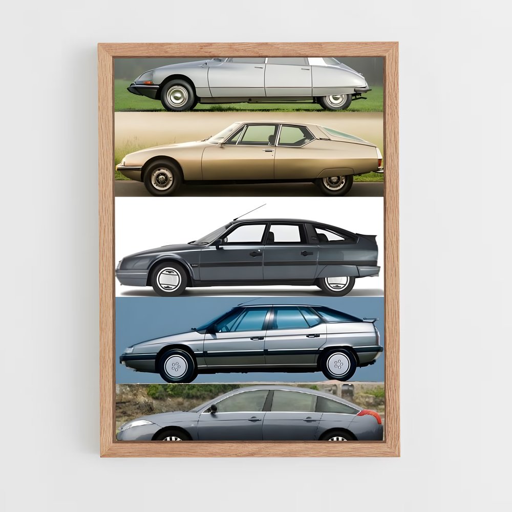 ap-citroen-3 cadre Bois clair