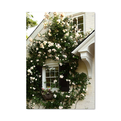 Poster La Maison aux Roses