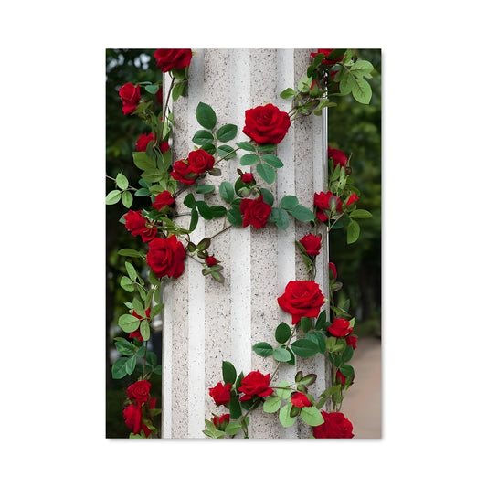 Poster Climbing rose 97043
