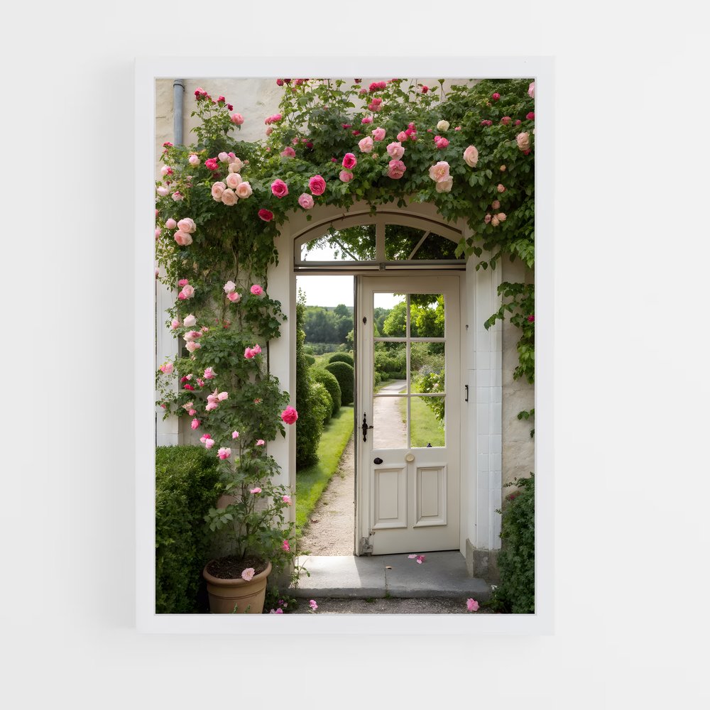 ap-climbing rose-1 cadre Blanc