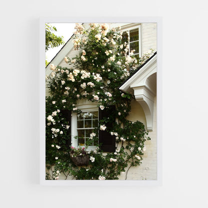 ap-climbing rose-10 cadre Blanc